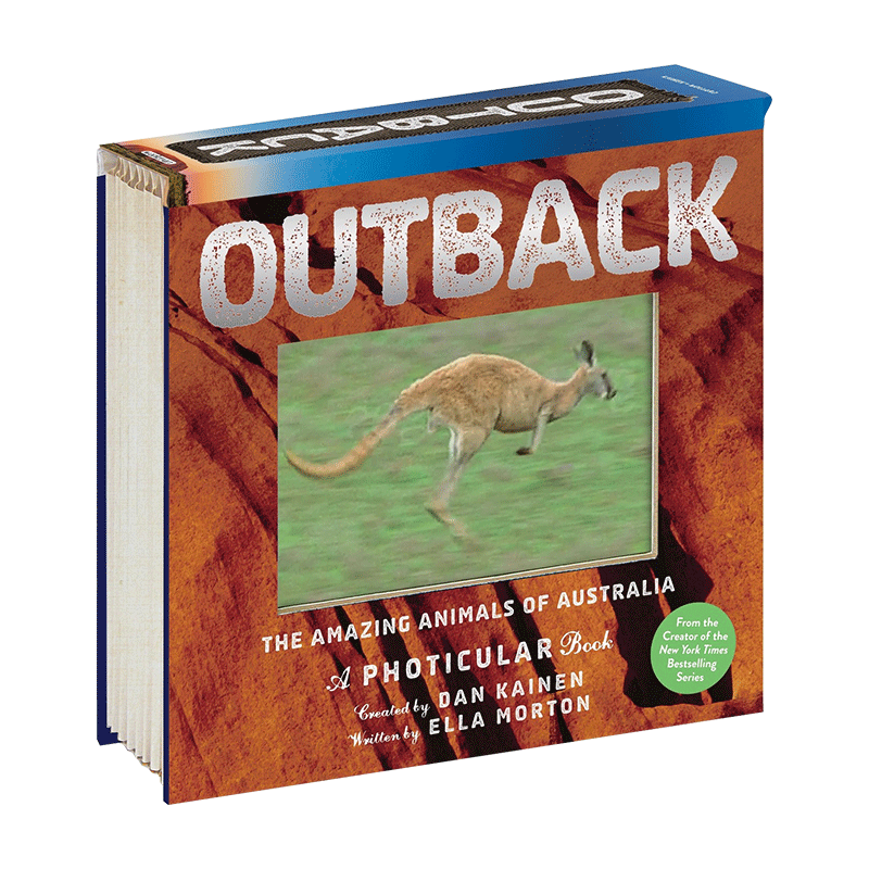 【二手书】outback the amazing animals of australia 英文原版 光与