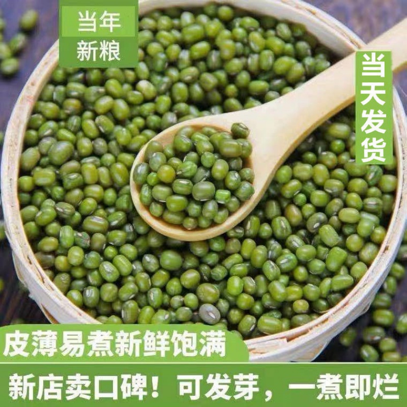 东北新货农家绿豆绿豆糕新鲜易熟易烂绿豆汤绿豆沙发芽豆笨绿豆子 新绿豆一斤(可发芽)