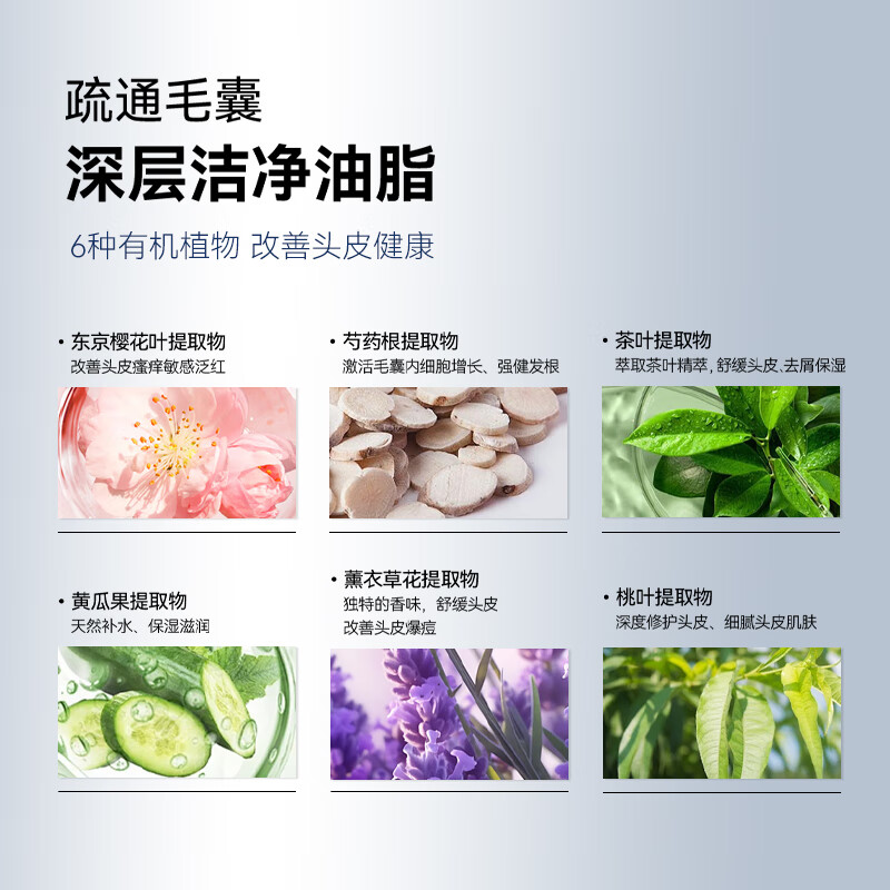 爱德兰丝头皮磨砂膏 极度蓬松洗头膏洗发水深度清洁毛囊纳米渗透控油去屑 头皮磨砂膏220g