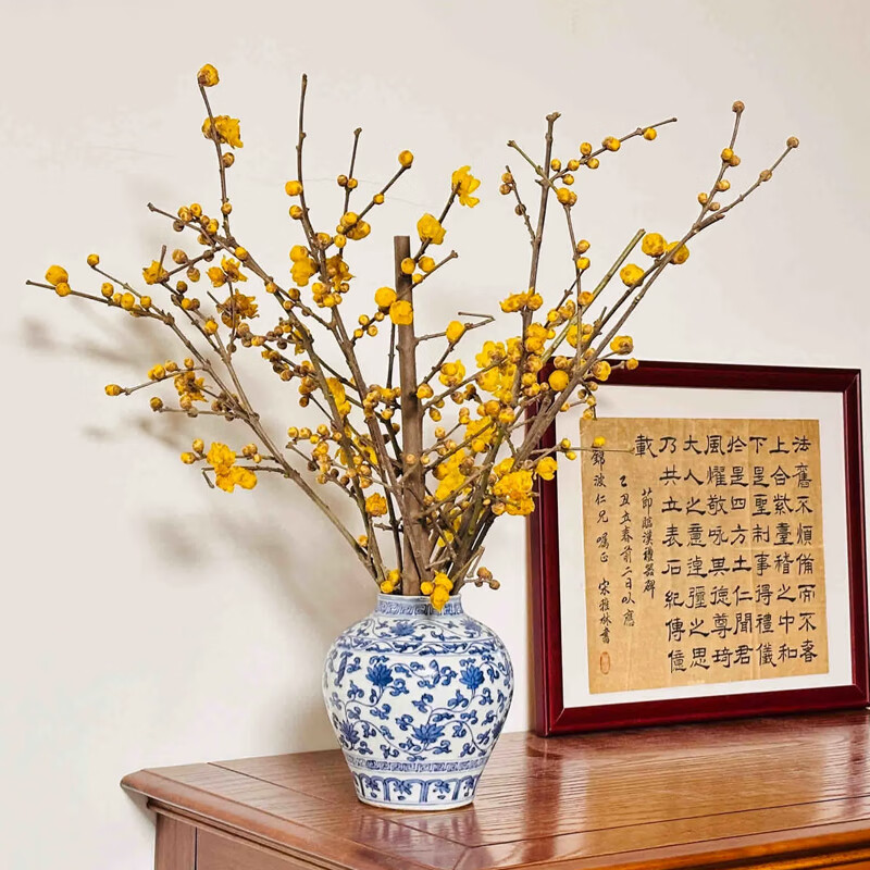 ���ڲ��������Ŵ�����ˮ����֦��÷�ʻ����л���������÷����ˮ����ֲ�������÷ ��������÷֦30cm 1֦