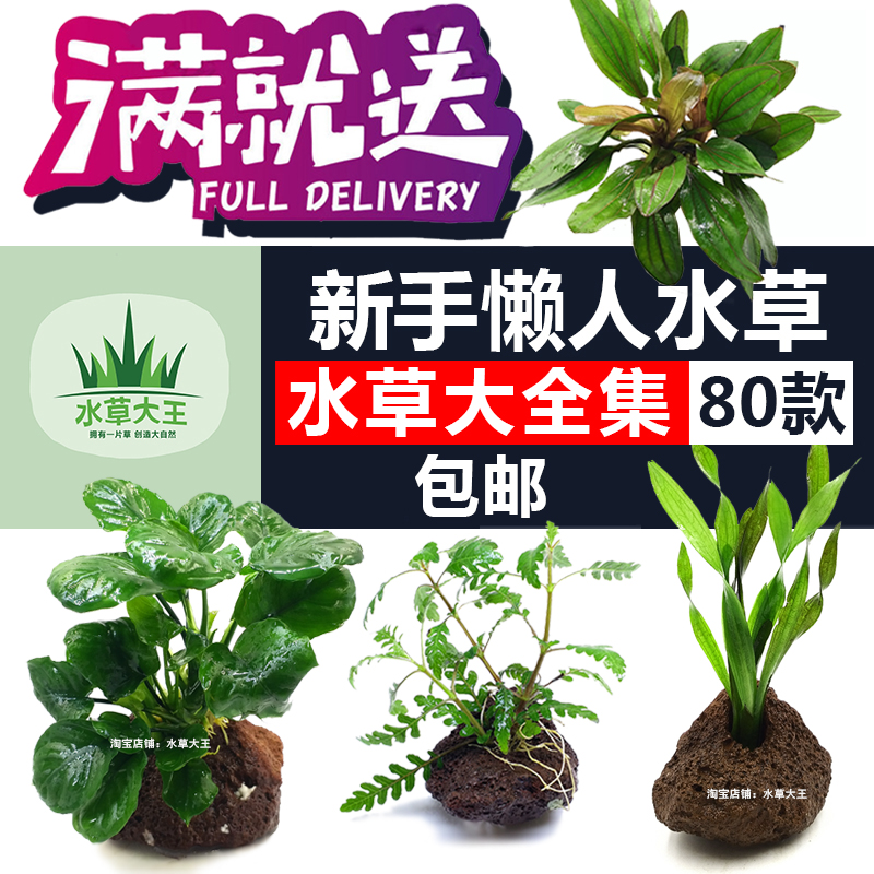 榕沉 相关京东优惠商品排行榜 6 价格图片品牌优惠券 虎窝购