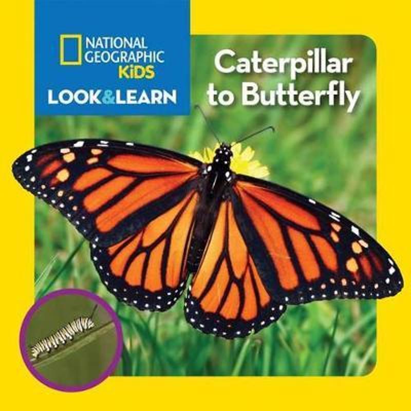 national geographic kids look and learn: caterpill 上海外文