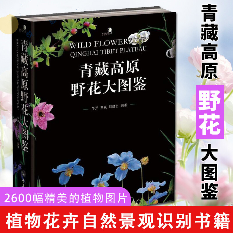 正版青藏高原野花大图鉴精装牛洋重庆大学出版社观赏植物和壮美的自然景观图书科普读物生物k