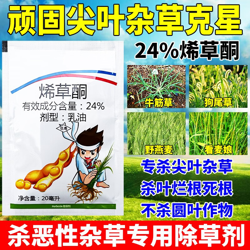 24%烯草酮大豆田油菜田除草剂牛筋草野燕麦看麦娘禾本科杂草农药 尖叶