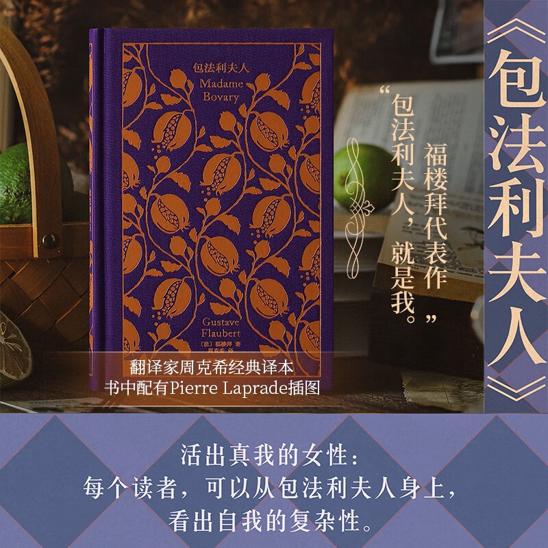 企鹅布纹经典：包法利夫人 小说
