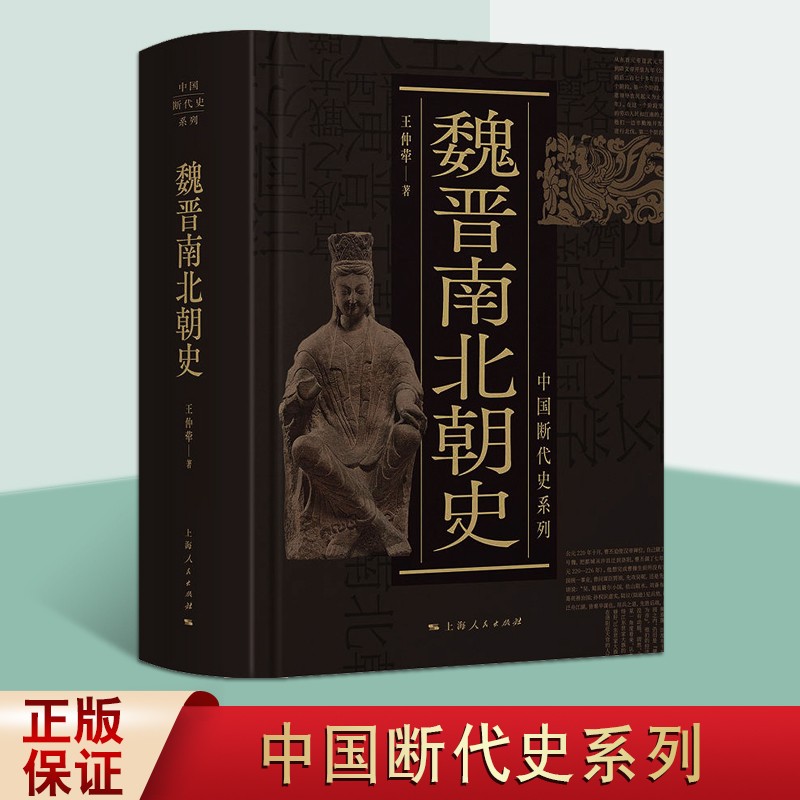 南北朝史 王仲荦 中国断代史系列 东汉灭亡至隋朝建立 中国古代历史