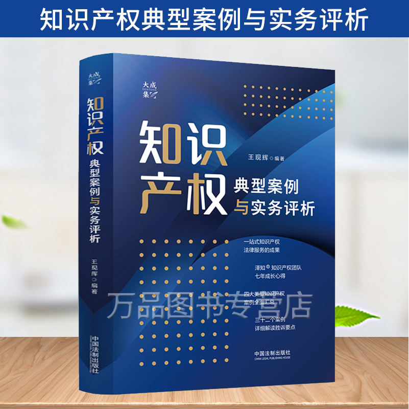 知识产权典型案例与实务评析 王现辉 四大类型知识产权案例全面汇总 三十二个案例详细解读胜诉要点 中国法制出版社 9787521624748