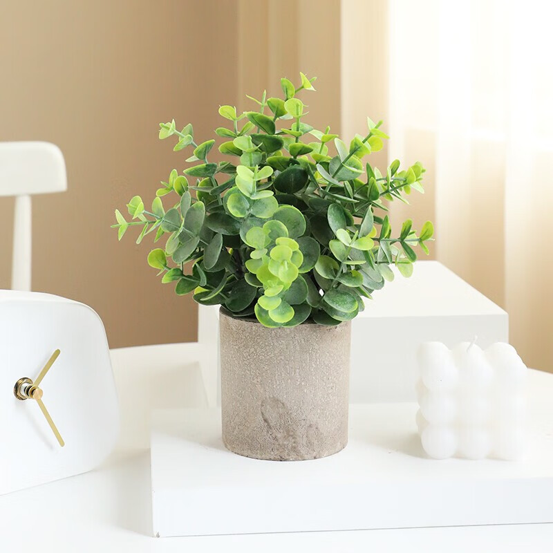 ����ɭ�ٻ������辰�ڼ����滨������ֲ��ֲ��칫�ҿ�������װ��Ʒ���� �ȼ���ˮ���辰