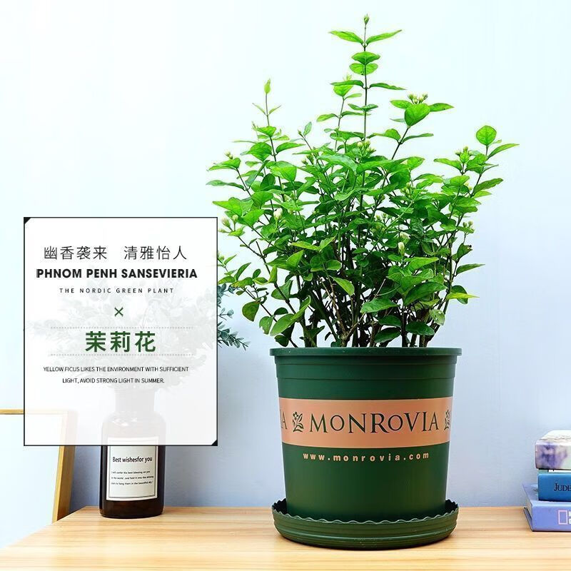 京东拼购商品 2021-06-21 - 第25张 | 最新购物优惠券 京东拼购商品 2021-06-21 - 第25张 | 最新购物优惠券