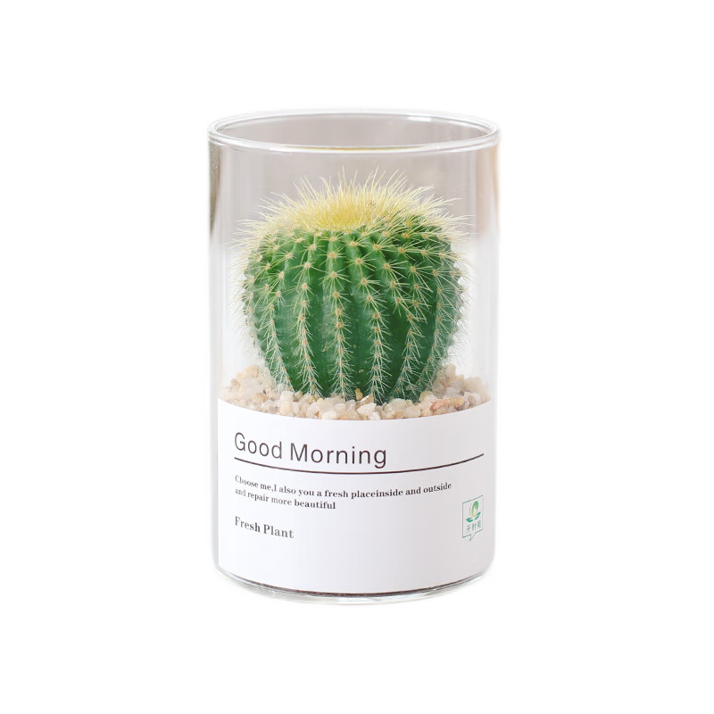 �ٽ��ۣ���ʱ�� ����ֲ��������������С����  ���+�ƽ�ɳӪ����