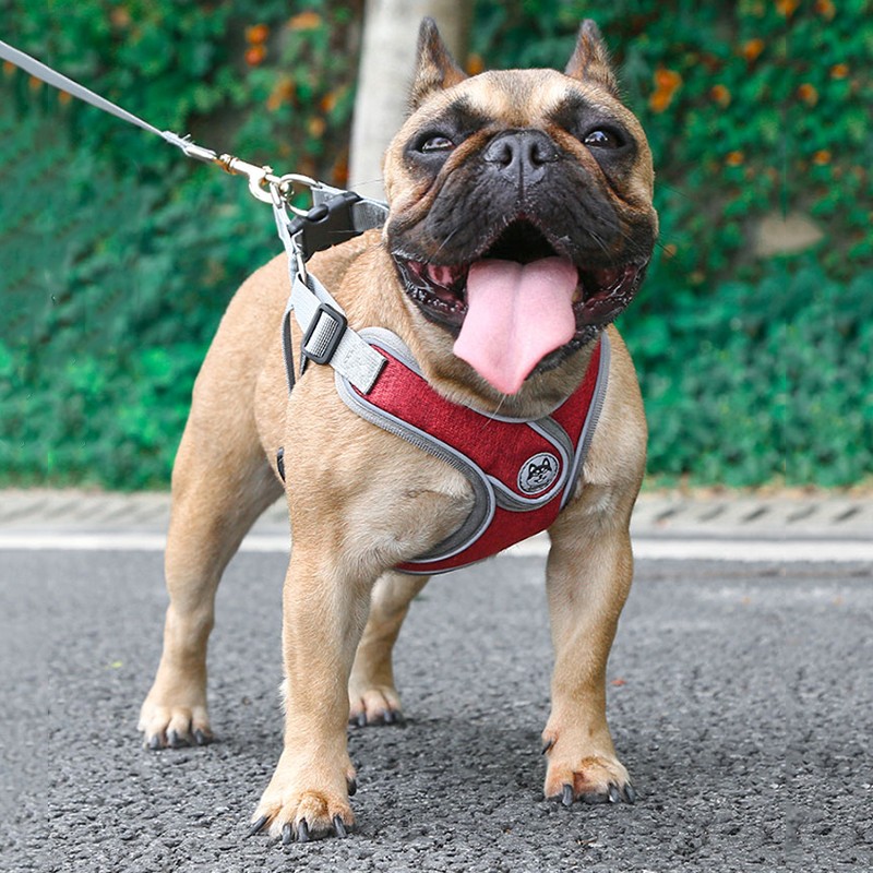 SLPC狗狗胸背带背心式小型犬牵引法斗泰迪柯基胸背中型犬遛狗绳背带 送1.5米原配绳/天空蓝 M/胸围50-62cm/约15-28斤
