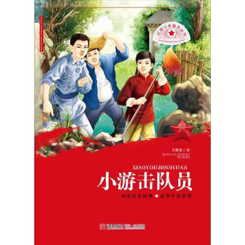 红色少年励志丛书小游击队员