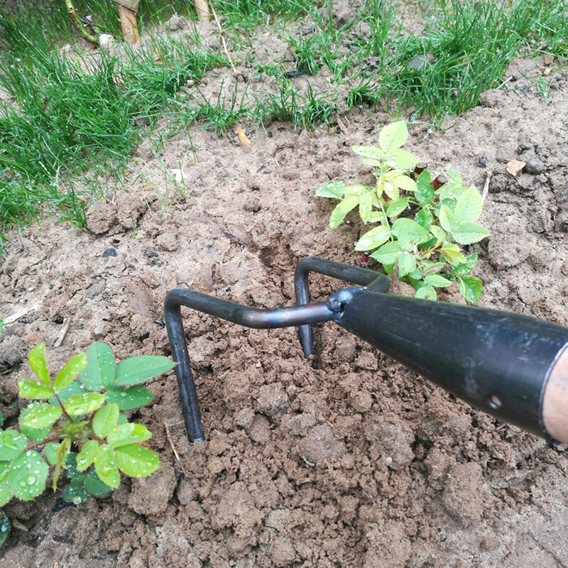 中村一郎铁耙子种菜翻土松土家用园艺三齿四齿九齿十一齿耙农具种菜