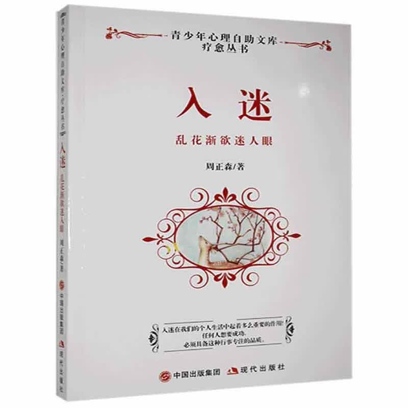 入迷:乱花渐欲迷人眼/9787514319640/心理学书籍