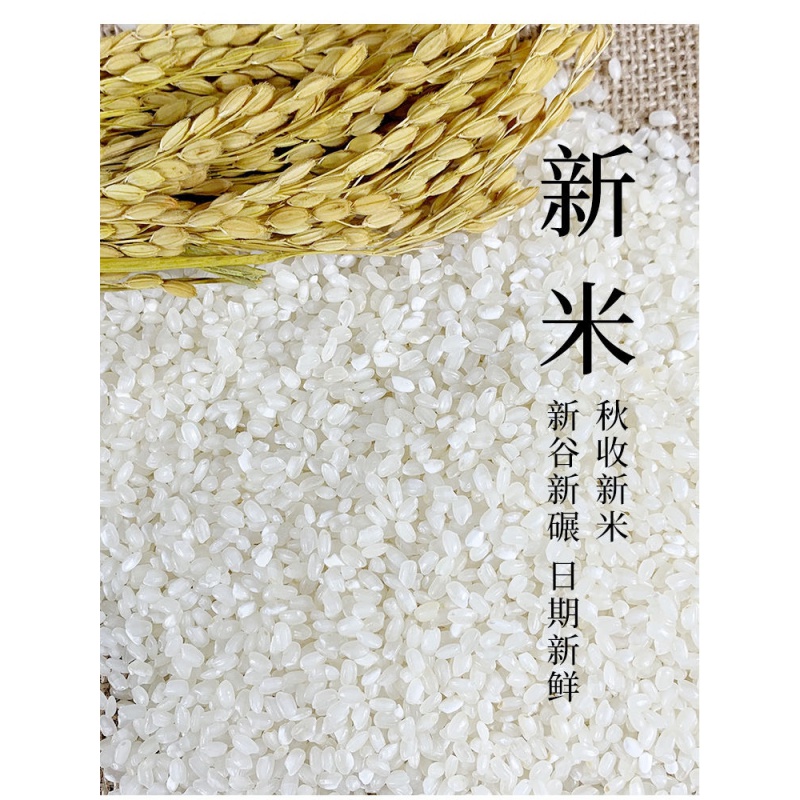 嫩个射阳新大米农家自产 江苏粳米大米 武育粳 25kg  50斤   50斤 25g