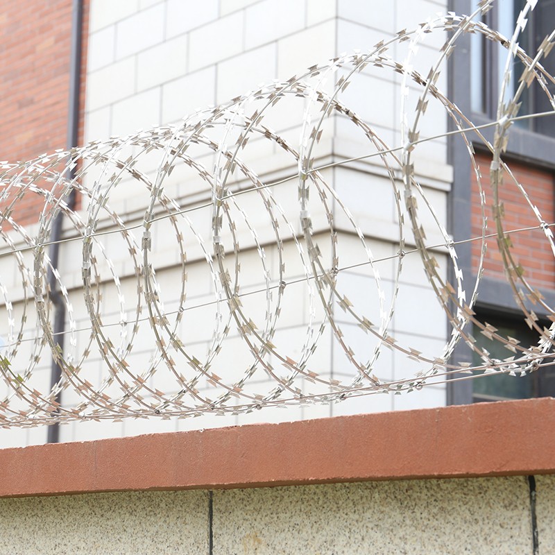 林泽轩防盗网刀片刺绳围墙防护网刺丝滚笼刺铁丝铁蒺藜监狱网铁刺高锌