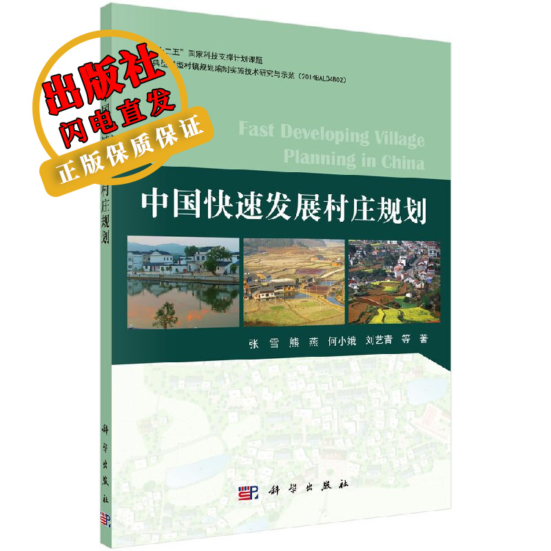 中国快速发展村规划