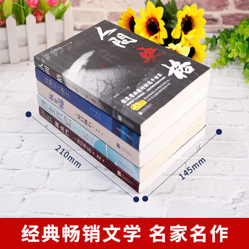 【严选】人间失格我是猫月亮与六便士  浮生六记  罗生门经典小说 5册 无规格