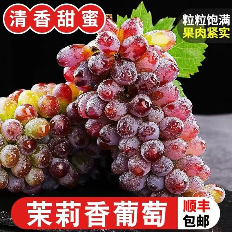 采缇(caiti)茉莉香葡萄无籽红提新鲜四斤装葡萄水果脆甜孕妇时令整箱