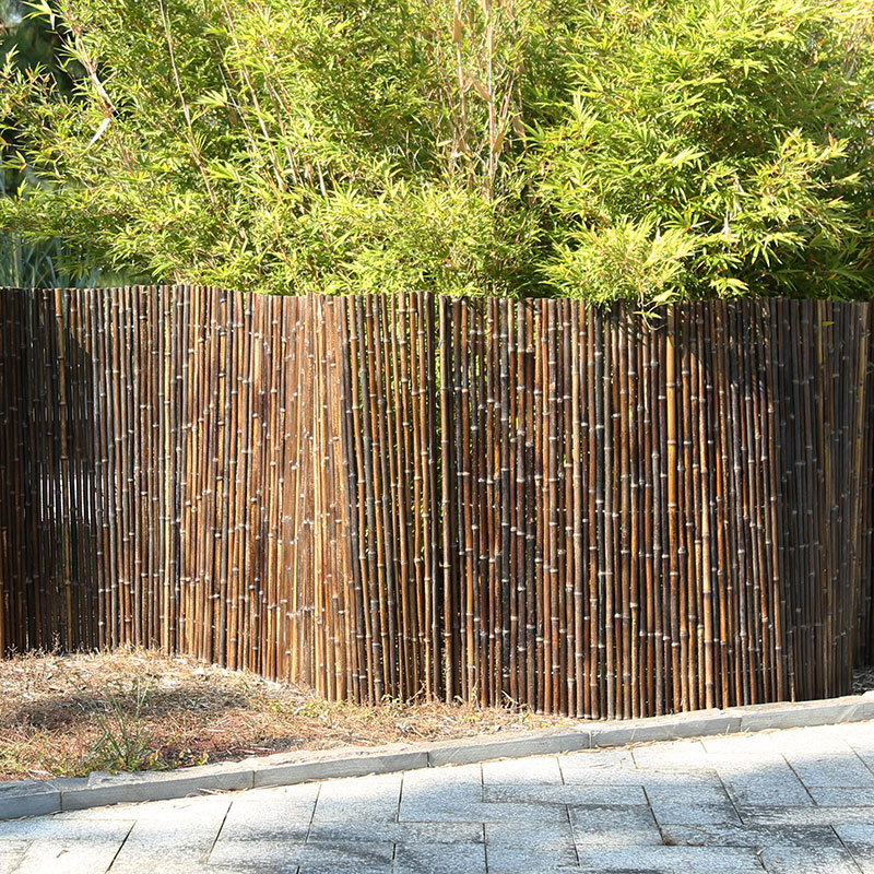 麦桑荷别墅院子庭院围竹子围墙隐私篱树栅栏竹墙紫竹竹篱笆栏杆围栏