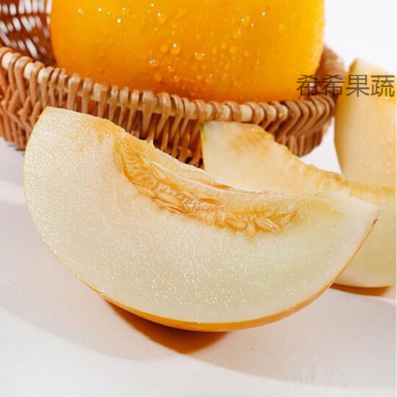 【5斤大果】黄河蜜瓜 黄金蜜瓜当季水果新鲜 2021现摘现发