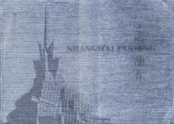 上海浦东【正版图书】