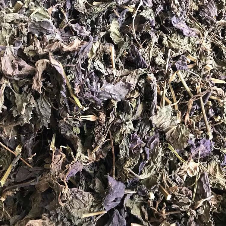 东居堂中药材紫苏叶干晒干紫苏叶去腥烧鱼虾蟹调料50克500克包邮紫苏茶 紫苏叶新货500g一斤装(推荐)