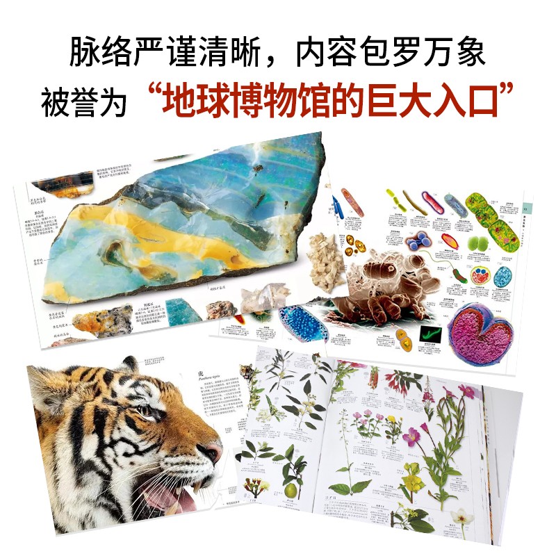 DK博物大百科小考拉点读笔套装（自然界的视觉盛宴）儿童科普百科全书孩子的动物恐龙读物精装典藏暑假阅读暑假课外书课外暑假自主阅读暑期假期读物详情图