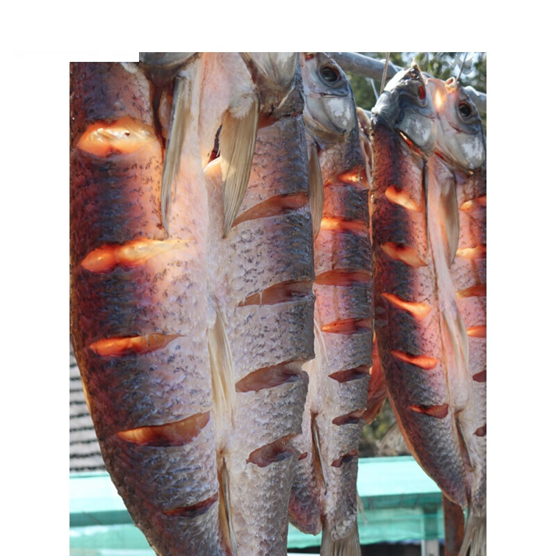 天福号味巴哥咸鱼干草鱼干500g 安徽特产风干鱼腊鱼块草鱼阳干鱼咸鱼