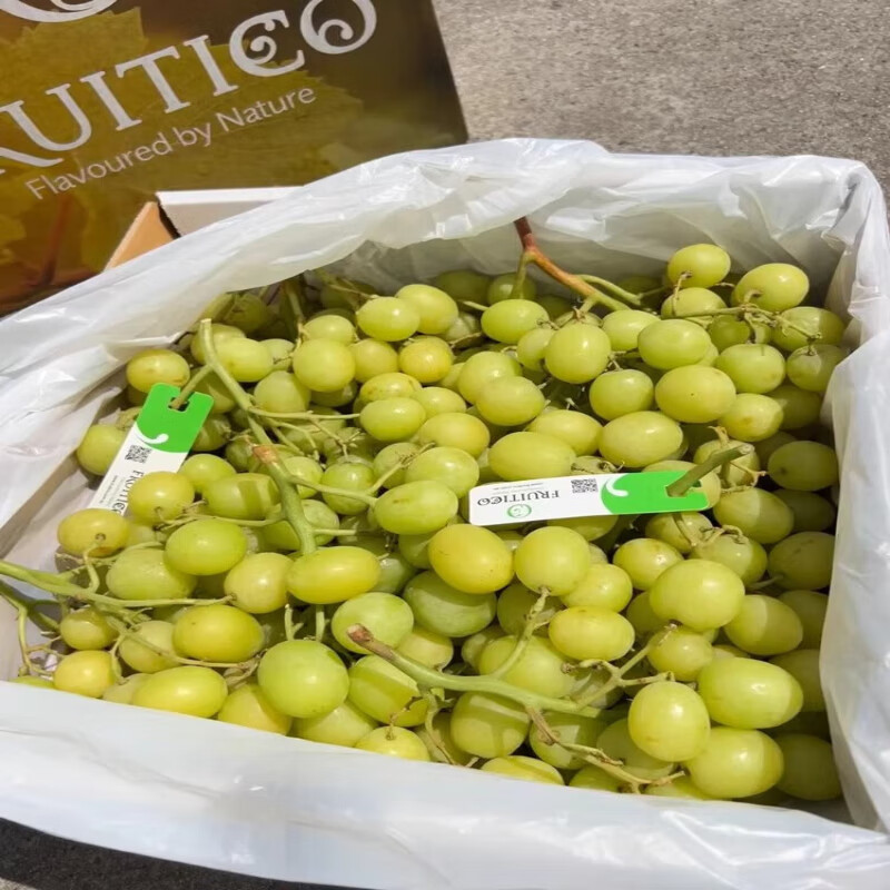 澳洲进口甜地球秋天脆青提 无籽秋天酥葡萄 脆甜多汁新鲜孕妇 1斤