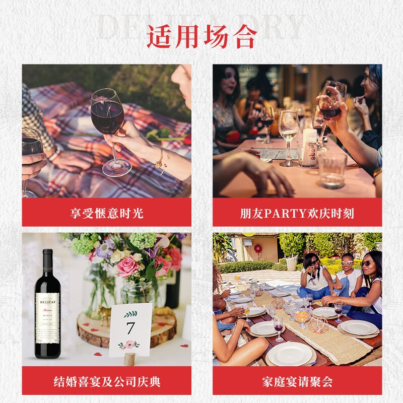 黛莉卡【智利进口干红葡萄酒】 13°干红葡萄酒瓶装750ml聚会婚宴佳品 智利进口黛莉卡 1箱6支