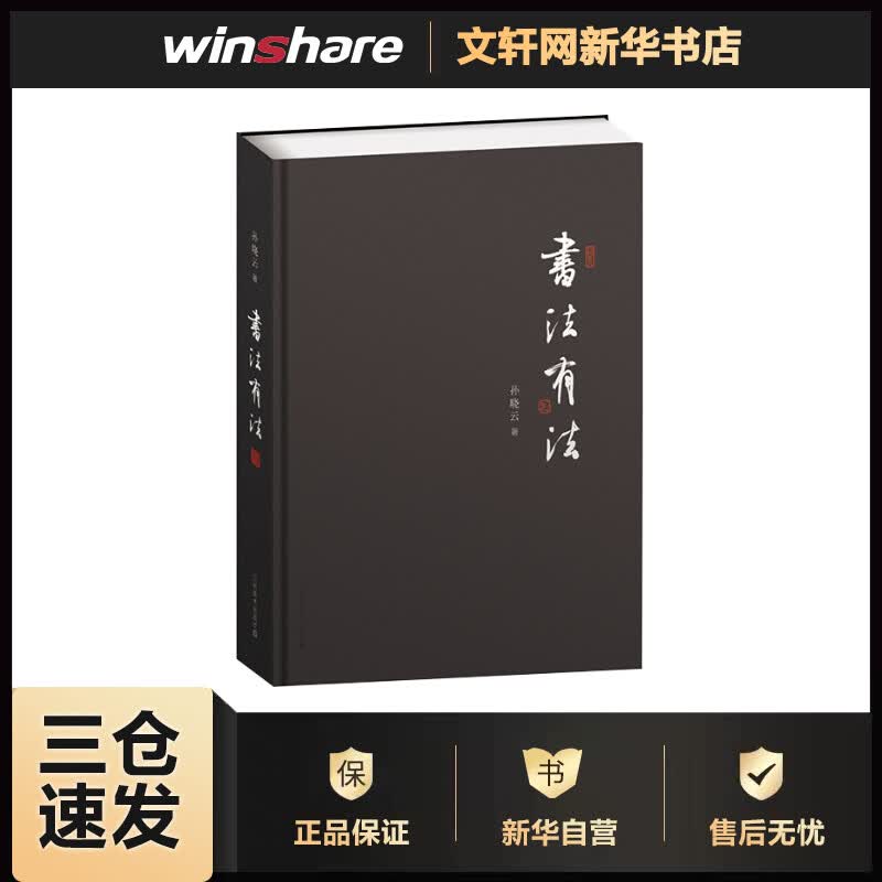 书法有法 孙晓云 精装版