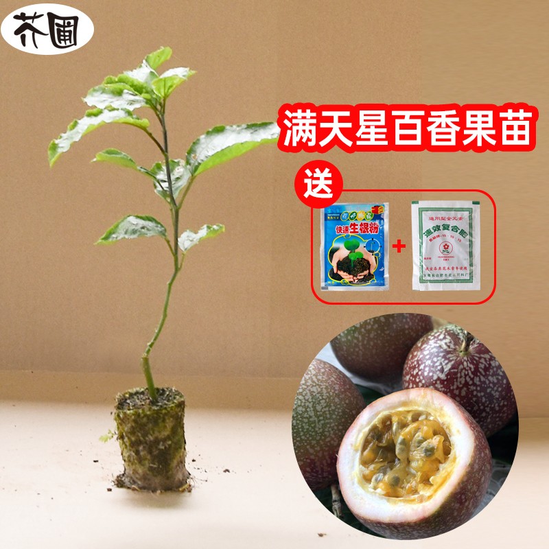 京东苗木价格曲线软件|苗木价格走势