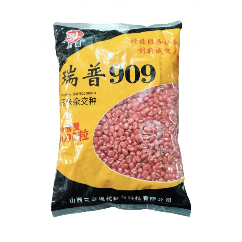 禾之润瑞普909矮杆大棒高产抗旱抗倒玉米种子一袋6000粒种1.