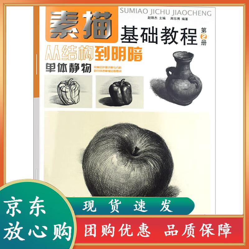 素描基础教程从结构到明暗2单体静物素描书入门自学素描的诀窍零基础