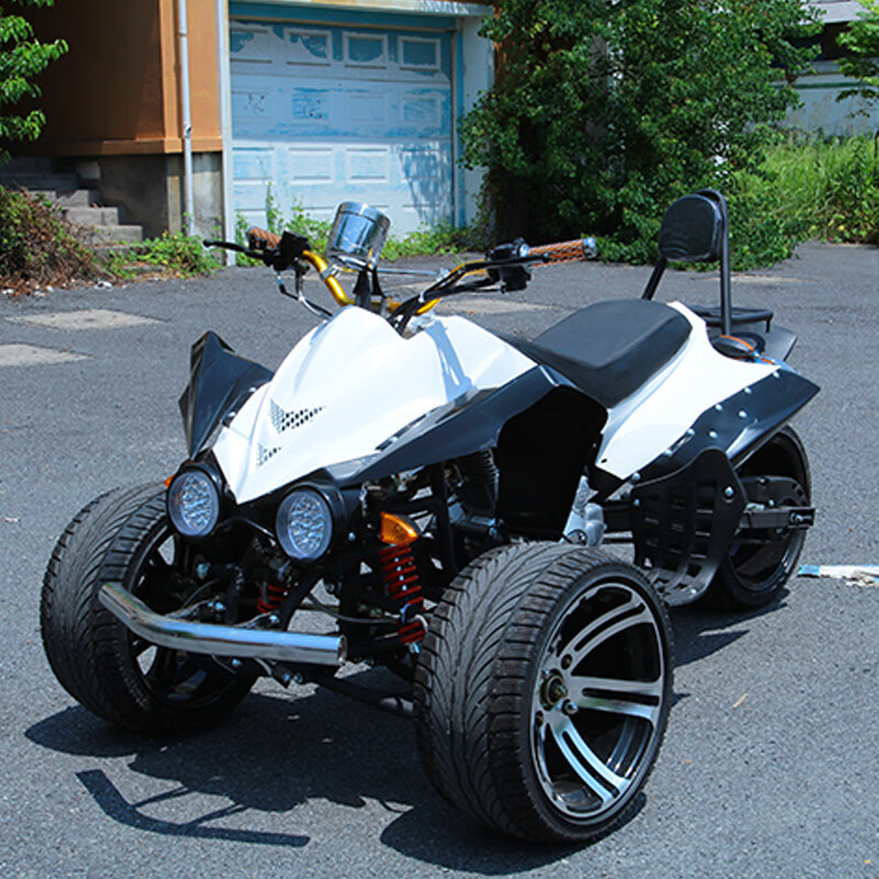 哪款沙滩车销量好_2023年沙滩车热销榜 - 十大牌子网