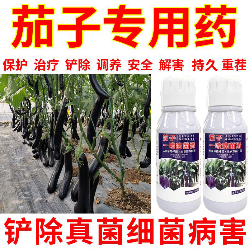 旋转乾坤茄子病害专用药杀菌剂疫病黄萎病根腐病枯萎病炭疽病茄子杀菌