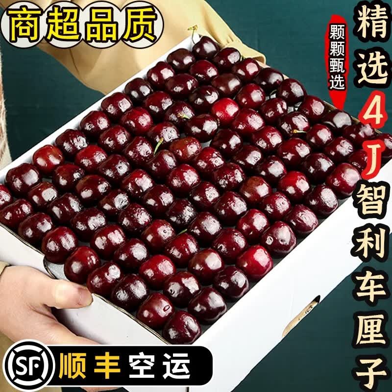 智利车厘子新鲜水果当季整箱包邮5斤孕妇礼盒装进口大樱桃2j3j4j 1斤(净重) 26-28mm