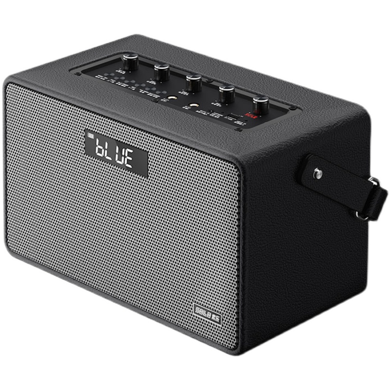 索乐l5新款乐器音响蓝牙户外直播唱歌k歌大功率重低音立体声音箱定制