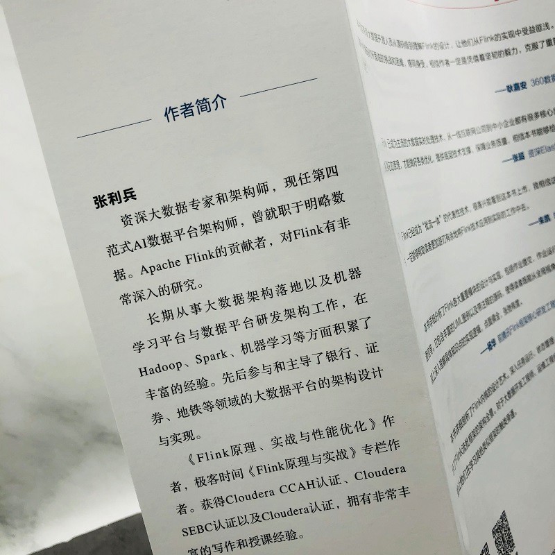 Flink设计与实现:核心原理与源码解析详情图