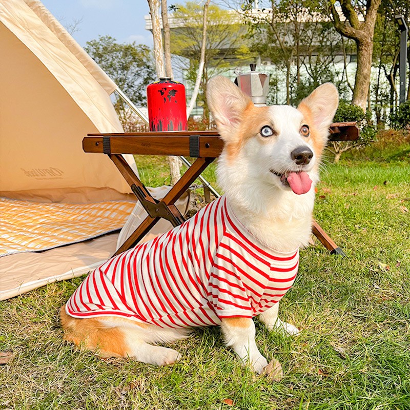 (柯基夏款)红白条纹 xs(建议体重3-9斤)