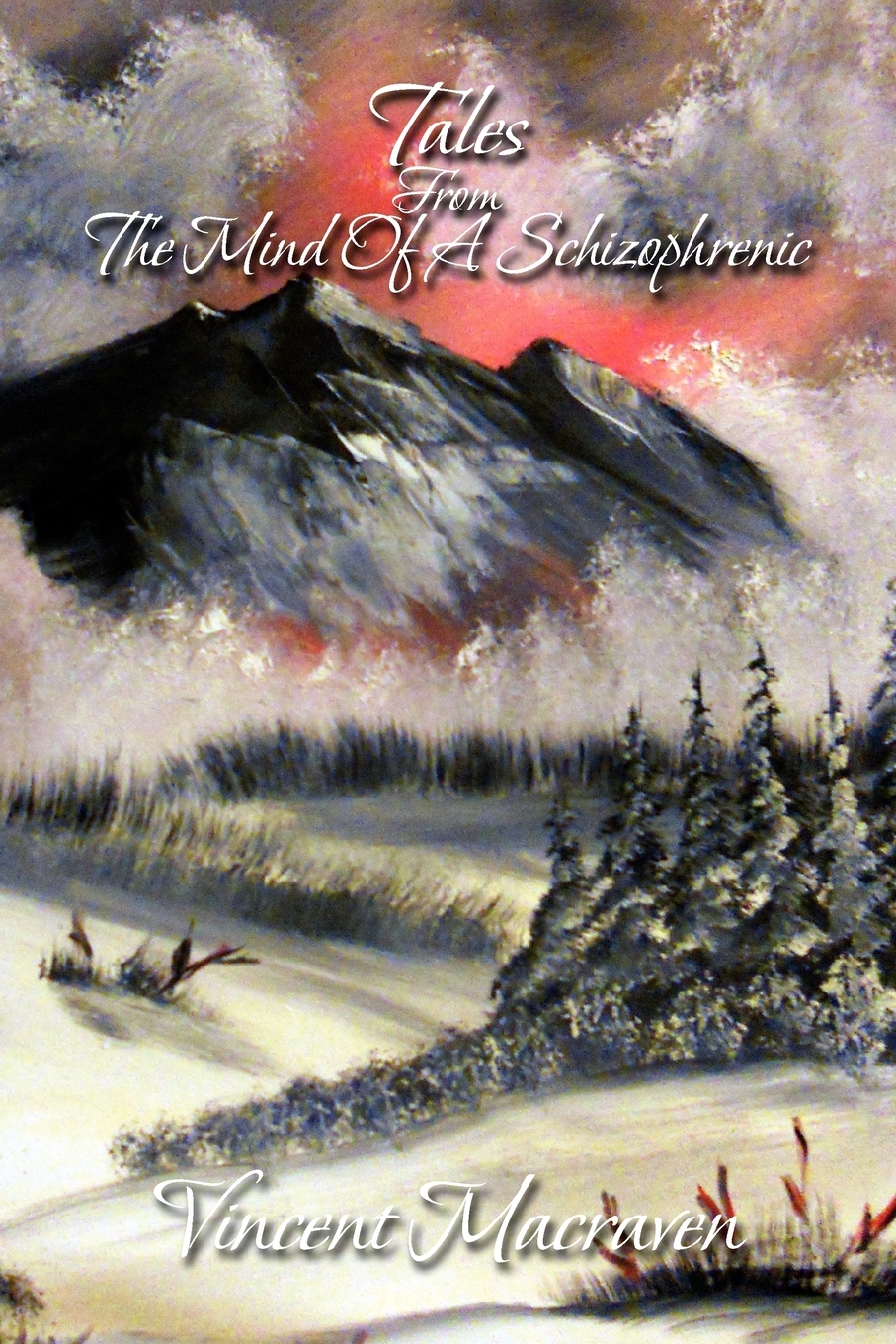 【预售 按需印刷】tales from the mind of a schizophrenic