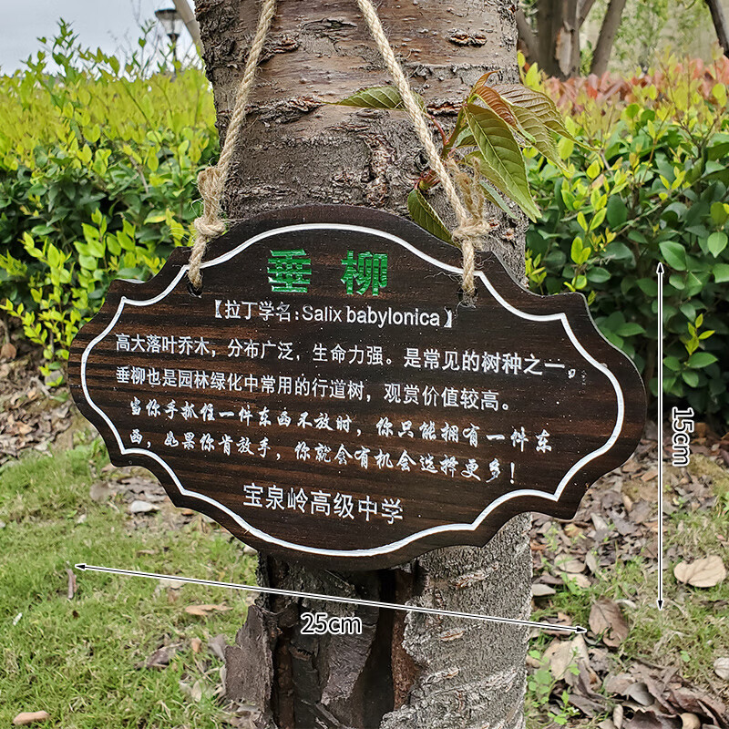 clcey树木树铭牌户外实木树牌定制绿化植物标识牌挂式公园花草介绍