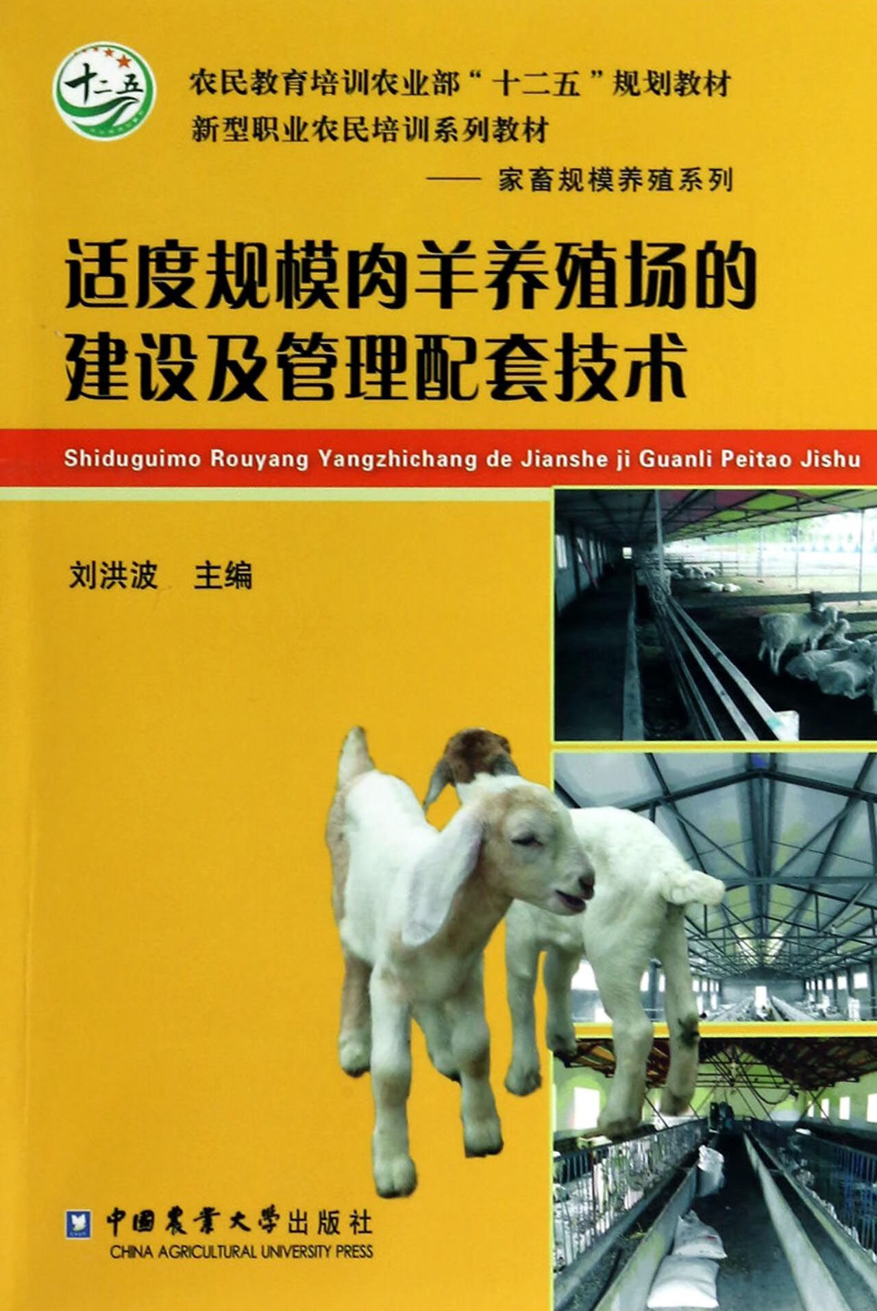 适度规模肉羊养殖场的建设及管理配套技术(农民教育培训十二五规划
