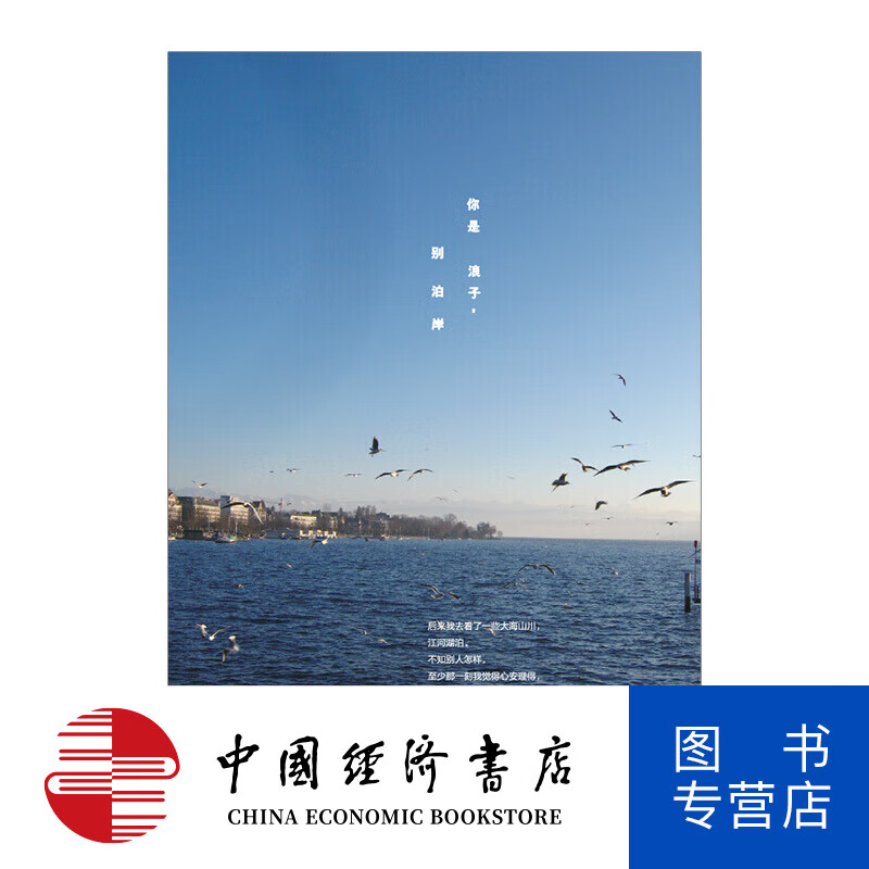 你是浪子,别泊岸 图书