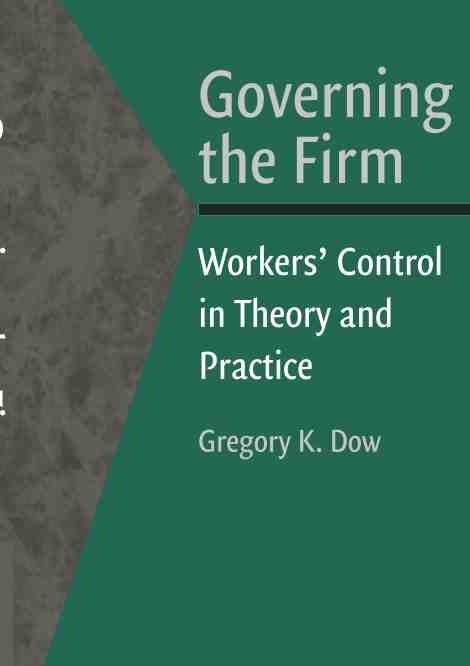 预售 按需印刷governing the firm