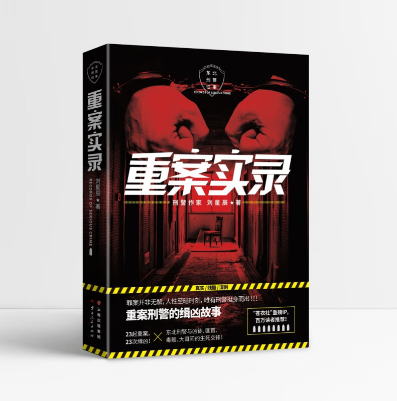 重案实录