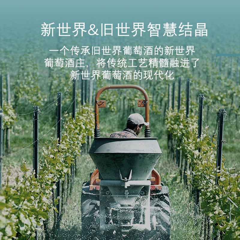 克洛巴蒂（COROBARDY）【幸运女神】智利进口红酒整箱小酒干红葡萄酒小瓶红酒迷你微醺酒 187ml*6整箱装