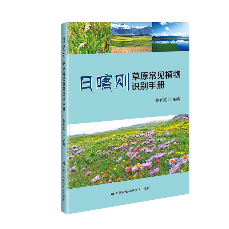 日喀则草原常见植物识别手册