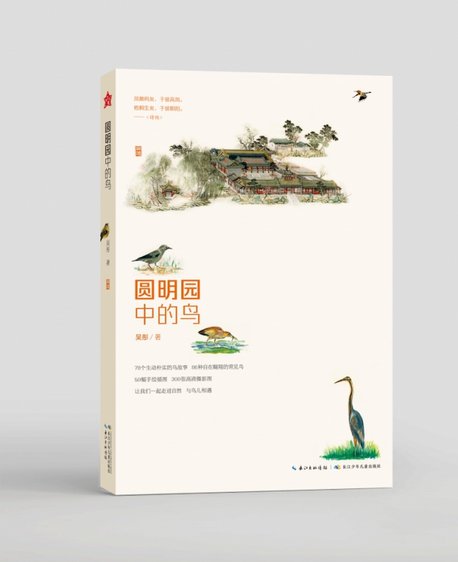 圆明园中的鸟 吴彤